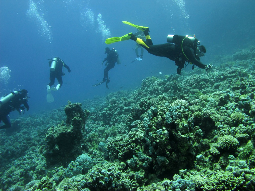 Red Sea 5