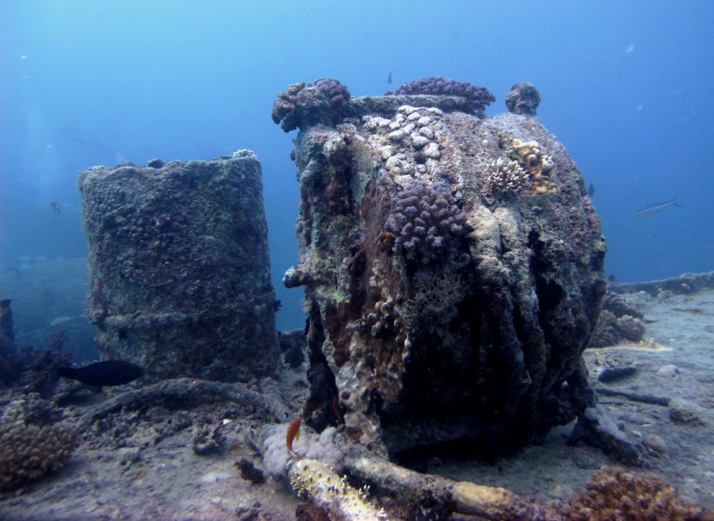 Red Sea 8