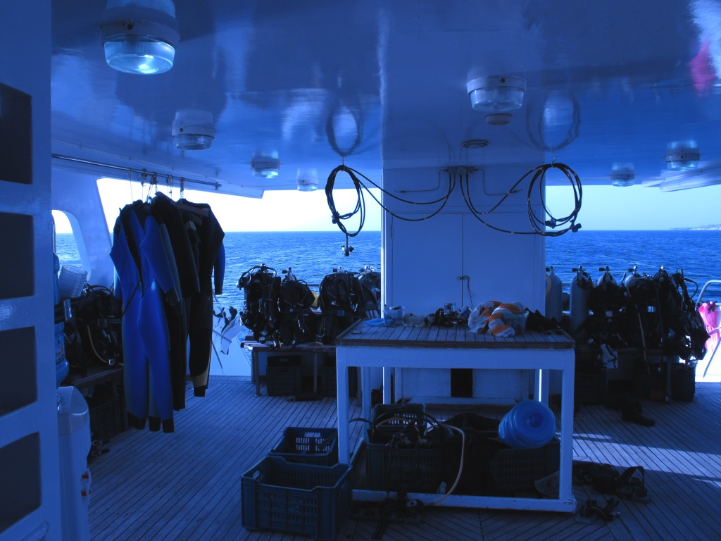 Red Sea 11